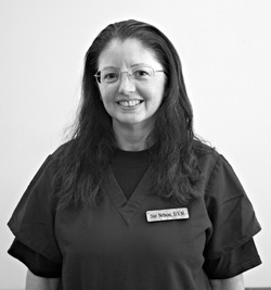 Our Team | Dr. Nelson, DVM | Bartlett Animal Hospital Our Team | Dr. Nelson, DVM | Bartlett Animal Hospital